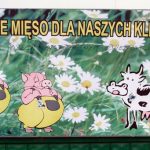 swieze-mieso-dla