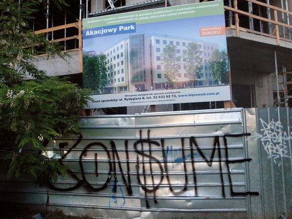 P5260268-consume