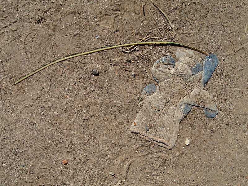 szara-low-wrzeszcz-203