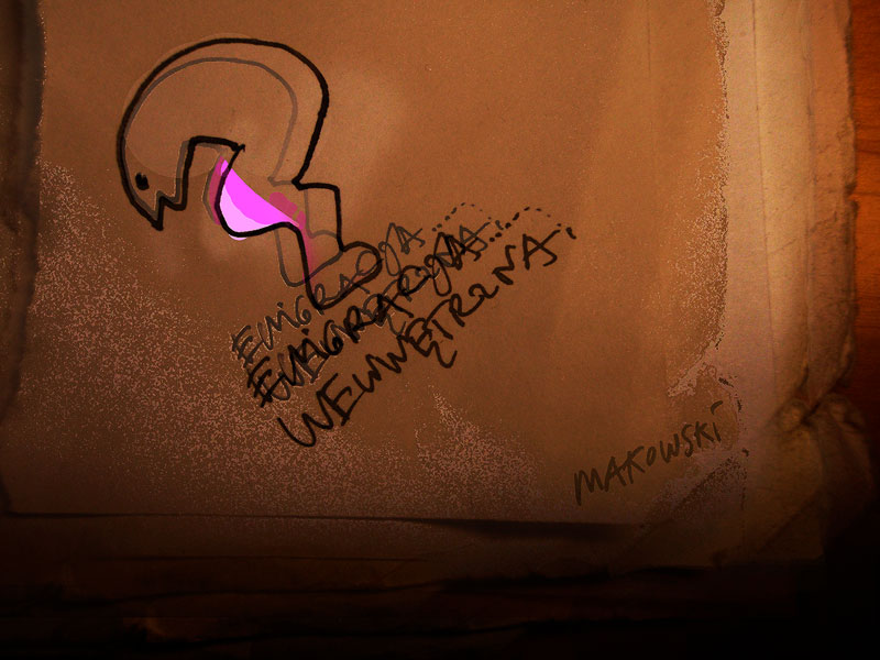 emigracja-wewnetrzna-mr-makowski2013-800pxl