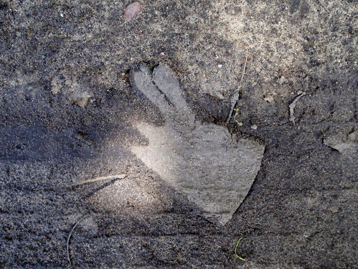 ghost-glove-2013-405