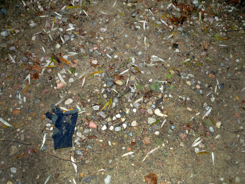 rekawiczka-garniizon-301