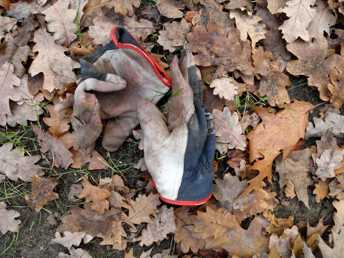 szorstkie-i-chropowate-2014