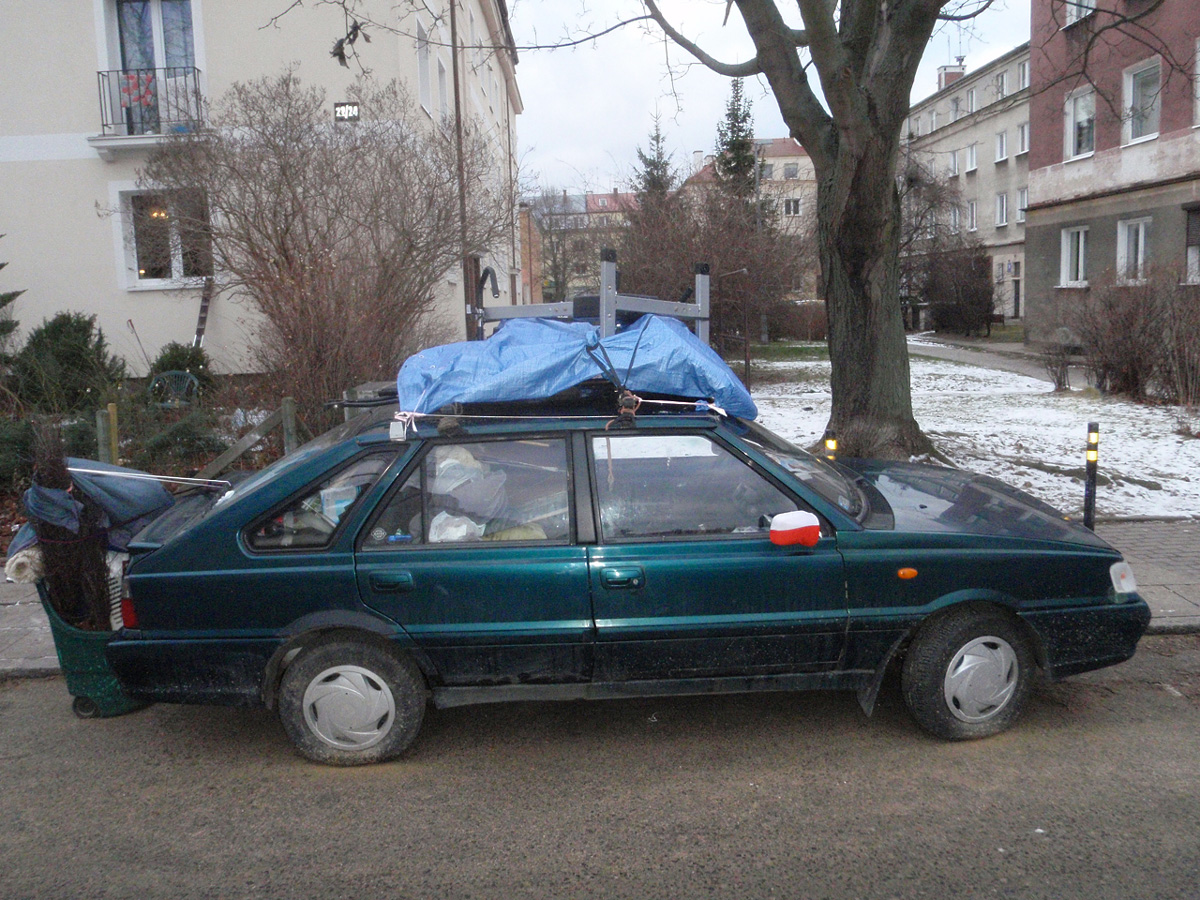 polonez-strzyza-2016-low