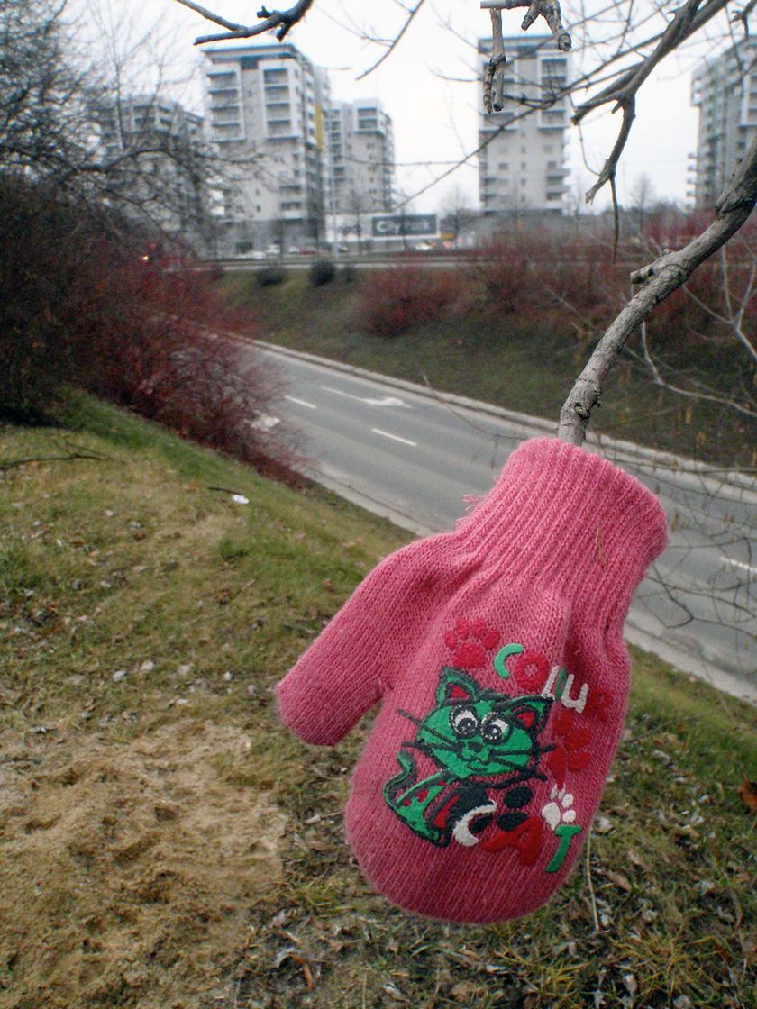 droga-z-Rekawiczka-01